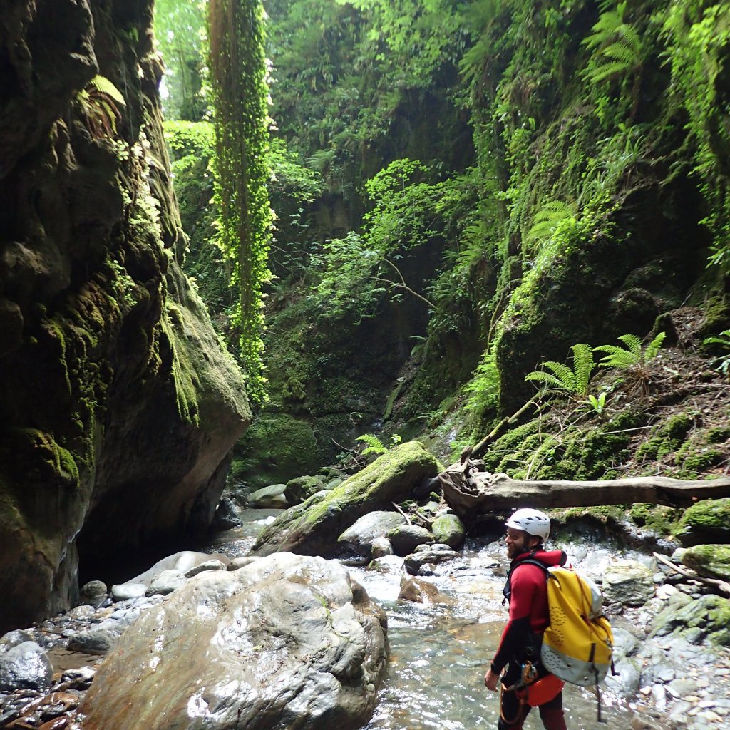 jungle du canyon du canceigt en vallée d'ossau