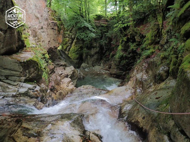 vasque d'eau turquoise dans le cnayon de Bious Gabas au départ de Laruns