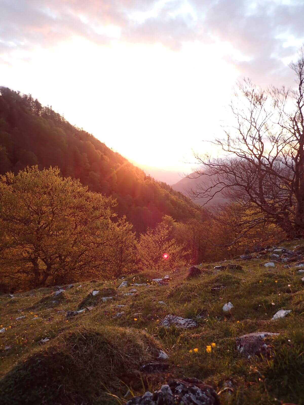 Couché de soleil sur la vallée d'Ossau depuis le port de Castet à 2 pas de Pau et Laruns